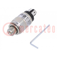 Module: pressure switch; relative pressure; OUT 1: SPDT; PSM01