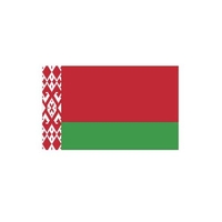 Technische Ansicht: Länderflagge Belarus (Weißrussland)