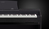 Casio PX-770BK Digitales Piano 88 Schlüssel Schwarz