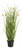 Botanic-Haus 107705-209 Künstliche Pflanze Künstliche nicht blühende Pflanze