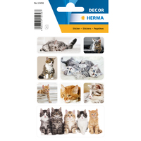 Sticker DECOR Katzenkinder