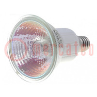 Filament lamp: halogen; 230VAC; 50W; E14; JDR; 580lm; 38°