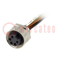 Socket; 7/8"; 0.5m; female; PIN: 5; straight; with leads; PVC; IP67