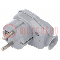 Connector: AC supply; male; plug; 2P+PE; 250VAC; 16A; grey; PIN: 3