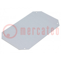 Mounting plate; zinc-plated steel