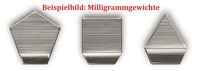 Kern 328-09 Milligrammgewicht OIML F1 Edelstahl - 500mg + Kunststoffetui