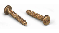 Wago 209-147 screw/bolt 100 pc(s)