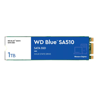 Western Digital Blue SA510 M.2 1 TB SATA III