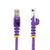 StarTech.com 45PAT10MPL kabel sieciowy Fioletowy 10 m Cat5e U/UTP (UTP)