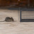 Relaxdays Lebendfalle für Mäuse & Ratten, tierfreundliche Nagetierfalle, HxBxT: 11,5 x 38 x 14 cm, Mäusefalle, schwarz