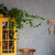 Relaxdays Pflanzenclips, selbstklebend, 240er Set, Kunststoff, Kletterpflanzen Befestigung, Pflanzenhalter Wand, grün