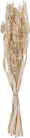 EGLO Trockenblumen CARAQUET 45cm 428071 beige