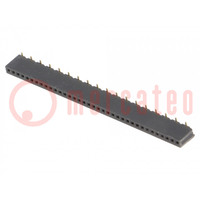 Socket; pin strips; female; PIN: 36; straight; 1.27mm; SMT; 1x36