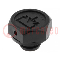 Fill plug; diameter 2 mm side breather hole; Thread: M12; 6÷8Nm