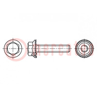 Screw; with flange; M8x16; 1.25; Head: hexagonal; steel