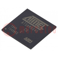 IC: mikroprocesor ARM; ARM926; 0,9÷1,1VDC; SMD; TFBGA324; 64kBSRAM