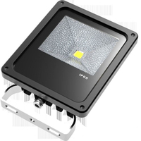Synergy 21 S21-LED-000516 Flutlichtscheinwerfer Grau 10 W