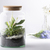 Esschert Design AGG69 Vase Becherförmige Vase Glas Transparent