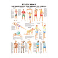 Stretching I Lehrtafel Anatomie 100x70 cm medizinische Lehrmittel, Nicht Laminiert