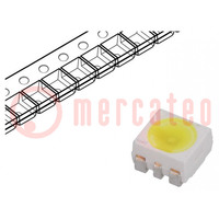 LED; SMD; 3528,PLCC6; blanc froid; 24,2÷37,8lm; 7,1÷14cd; 5600K