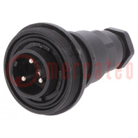 Connector: circular; plug; male; PIN: 3; Standard Buccaneer®; IP68