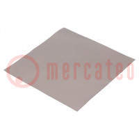 Shielding mat; 240x240x0.3mm; Permeability: 60; EFA