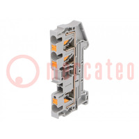 Splice terminal: rail; 0.2÷6mm2; ways: 1; terminals: 3; grey; PT