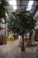 Artificial Natural Bespoke Large Resin Ficus Tree - 300cm, Green