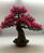 Artificial Bonsai Tree - 38cm x 26cm x 38cm, Pink