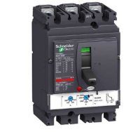 Schneider Electric LV431630 coupe-circuits