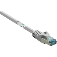 Renkforce RF-5047510 câble de réseau Gris 0,25 m Cat6a S/FTP (S-STP)