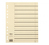 Pagna 44107-09 intercalaire Carton Beige 10 pièce(s)