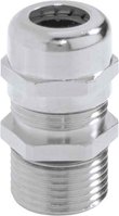 SKINTOP-MS-SC-PG-21 MS-SC Pg21