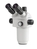 Microscopio stereo zoom 0,6x-5,5x; binoculare; per serie OZP-5