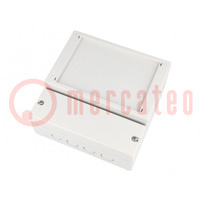Enclosure: wall mounting; X: 166mm; Y: 161mm; Z: 72.5mm; ABS; grey
