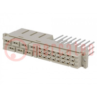 Plug; DIN 41612; type MH; female; PIN: 31(7+24); straight; 15A
