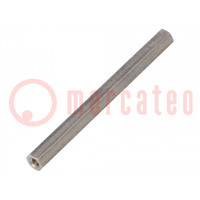 Screwed spacer sleeve; 80mm; Int.thread: M4; hexagonal