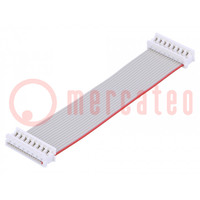 Ribbon cable with connectors; Contacts ph: 1.27mm; PicoFlex