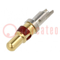 Contact; male; gold-plated; 12AWG; 20A