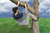 Treeclimbers - Baumklettergriffe