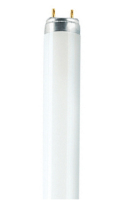 Osram T8 Active L ampoule fluorescente 18 W G13 Blanc froid