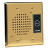 Valcom Doorplate Speaker w/LED Brass
