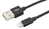 Ansmann 1700-0079 câble Lightning 2 m Noir