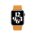 Apple 40mm California Poppy Leather Link - Large