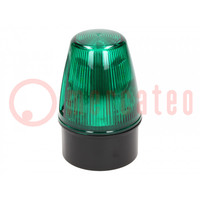 Signaller: lighting; continuous light,blinking light; green