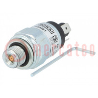 Module: pressure switch; relative pressure; OUT 1: SPDT; PSM01