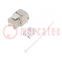 Buchse; RJ45; PIN: 8; Kat: 6a; abgeschirmt,Trapez,PoE; System: 8p8c