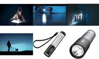 ANSMANN LED-Taschenlampe Daily Use 70B, silber/schwarz (18006282)