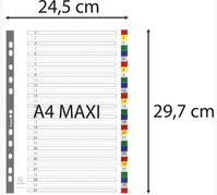 Exacompta 88E divisor Polipropileno (PP) Multicolor