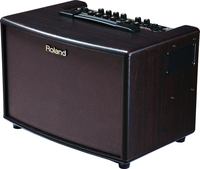 Roland AC-60-RW Gitarrenverstärker